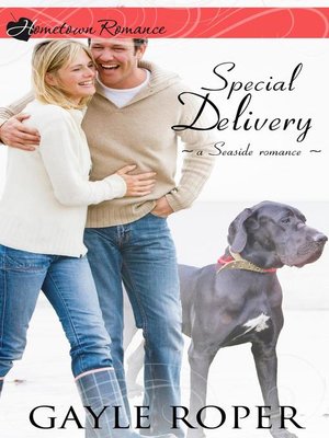 cover image of Special Delivery